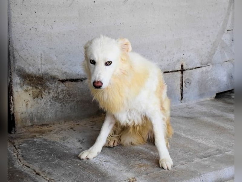 Fredrik - Für immer zusammen?