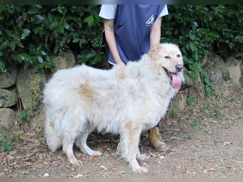 Paolo - Oh, huch, wow!!!