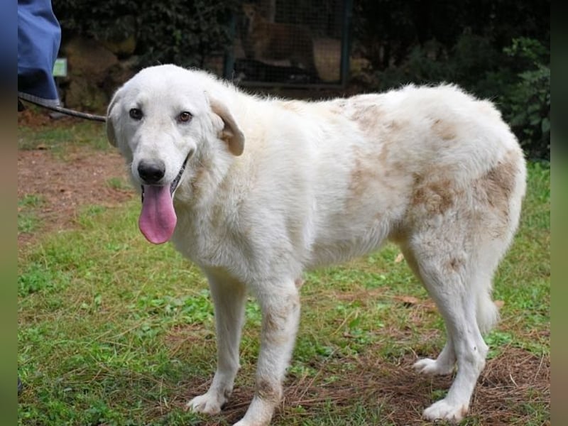 Dayton - niemals ist eine schrecklich lange Zeit