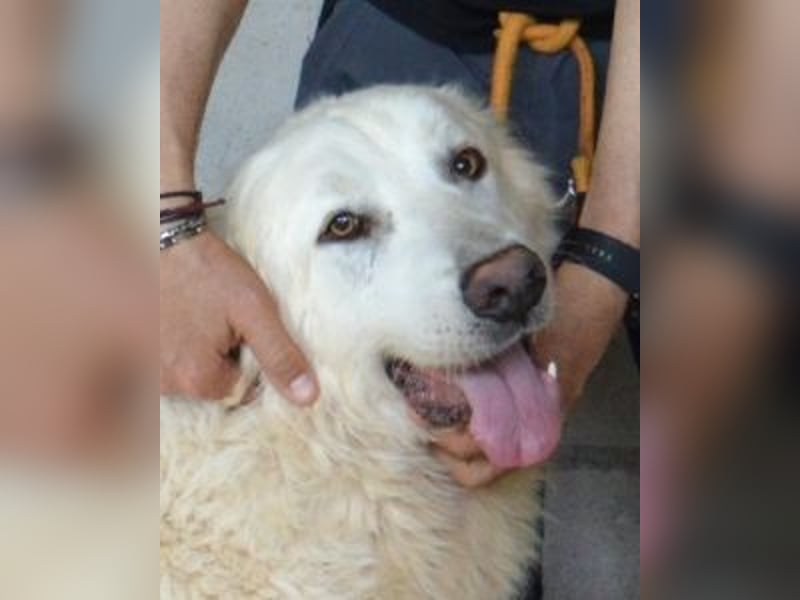 Quebry - Es ist, was es ist...