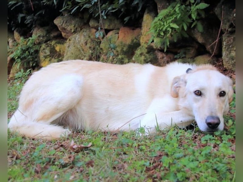 Yannick - eine zweite Kindheit?