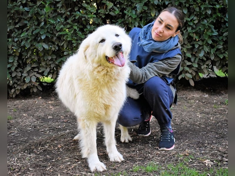 Hadriano - Viel mehr als nur einer unter vielen!