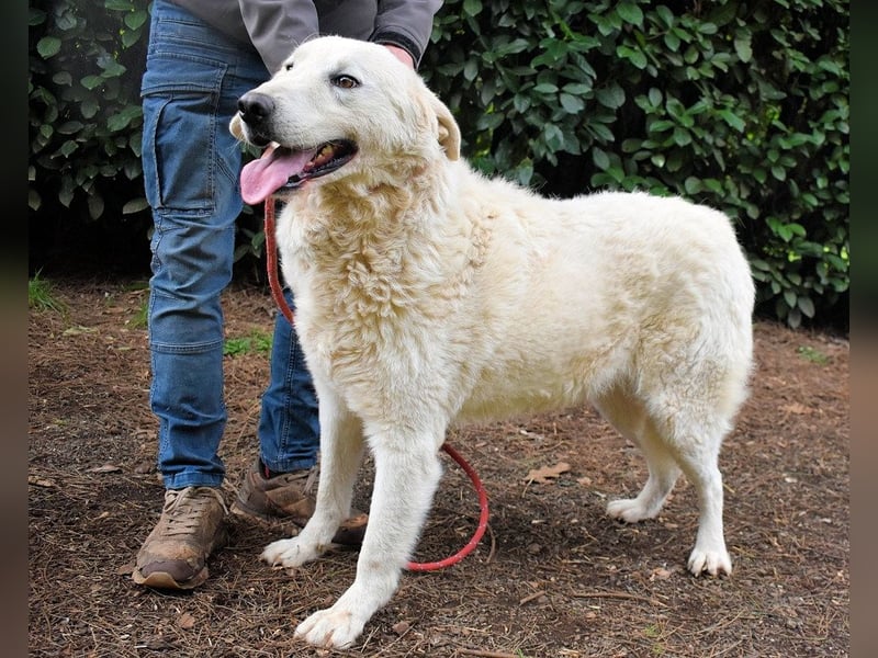 Dayton - niemals ist eine schrecklich lange Zeit