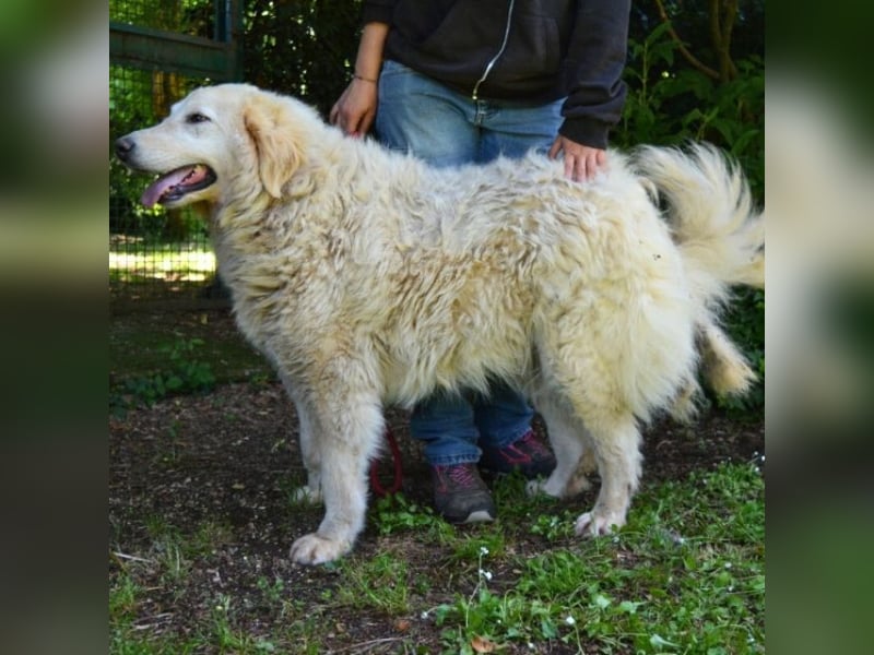 Filomela - Vom Sorgenkind zum Sonnenschein