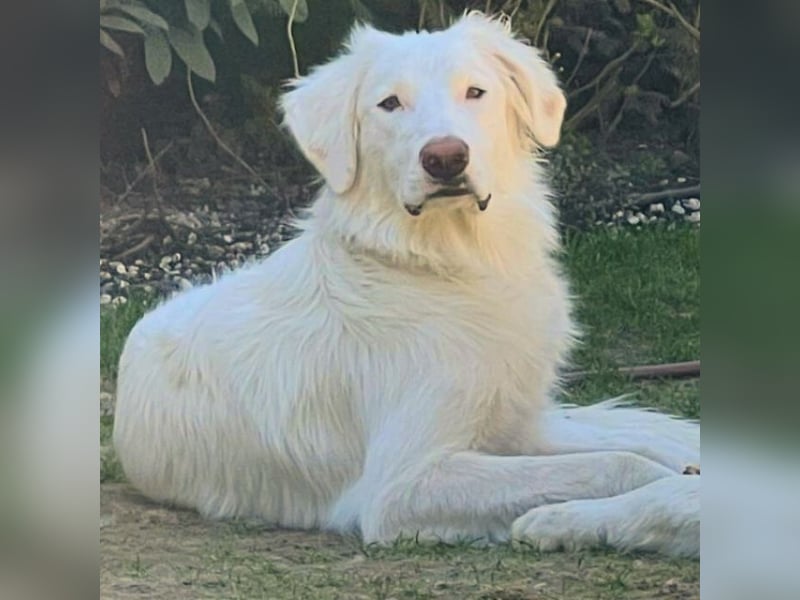 Stardust - Von der Erde zum Mond und zurück....