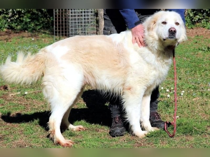 Eluard - Hoffnung auf echte Freundschaft!