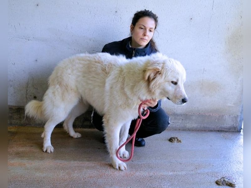 Skilah - Wenn Niemand zu Jemand wird