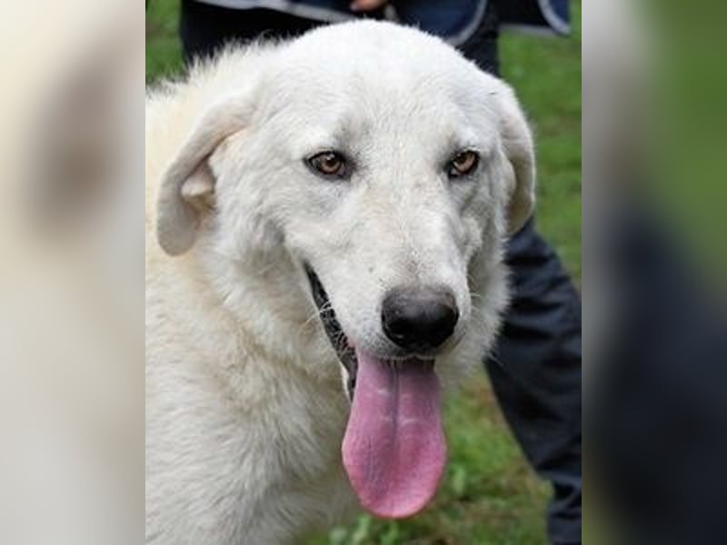 Dayton - niemals ist eine schrecklich lange Zeit