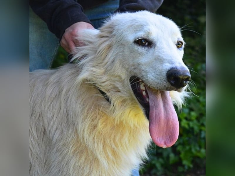 Isana - Wo ist mein neues Leben?