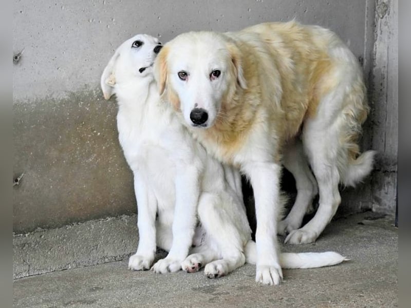 Benilda - Familienmutter in Not