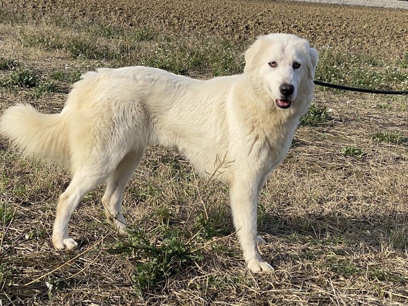 Madea - in ihrer ganzen Schönheit
