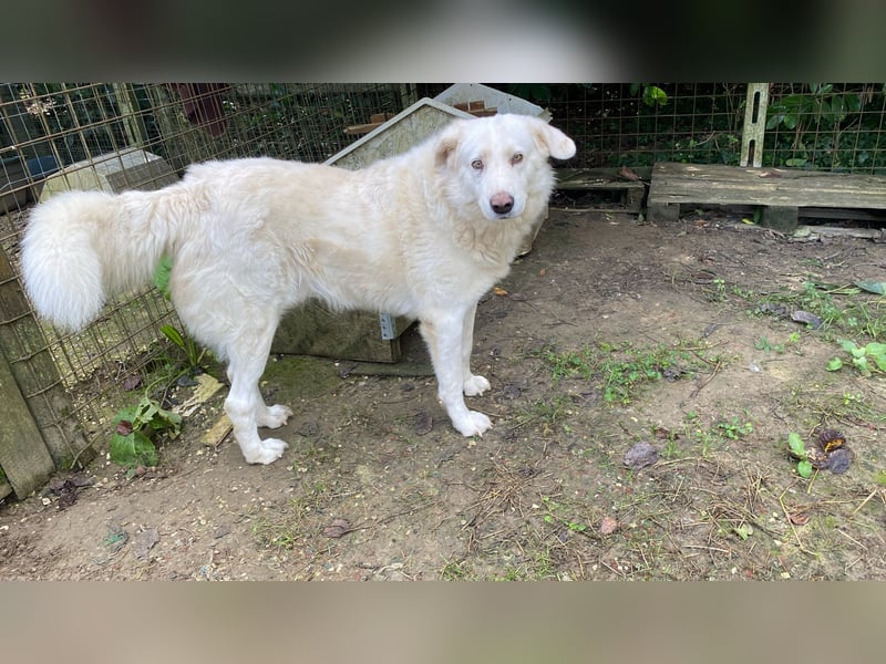 Sindbad - Zwischen Vorsicht und Vertrauen