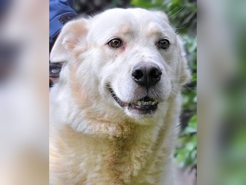 Zipper - Ein vergeudetes Leben