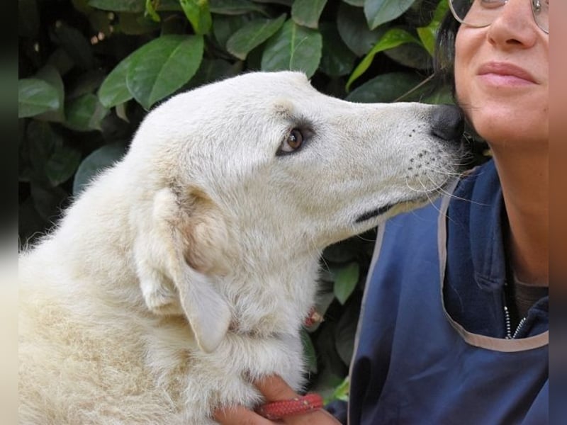 Damarius - niemals ist eine schrecklich lange Zeit