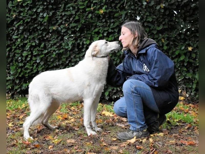 Yasmine - freundlicher Sonnenschein sucht sonniges Plätzchen
