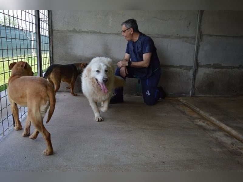 Quebry - Es ist, was es ist...