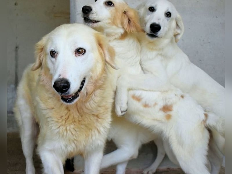 Benilda - Familienmutter in Not