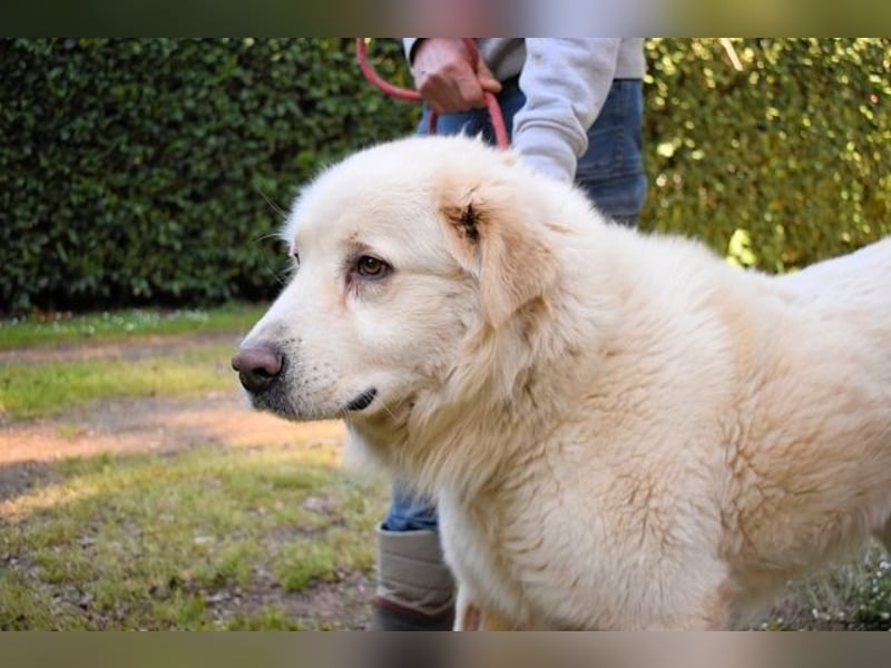 Quilmar - Was werden sie erzählen?