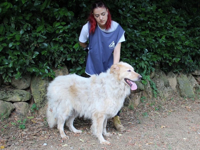 Paolo - Oh, huch, wow!!!