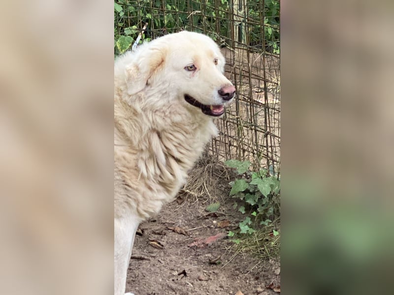 Sindbad - Zwischen Vorsicht und Vertrauen