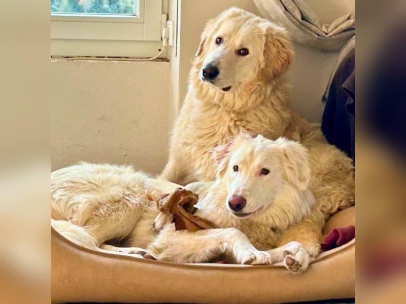 Stardust - Von der Erde zum Mond und zurück....