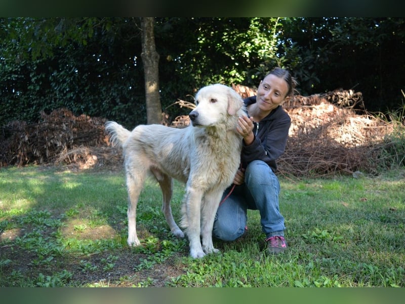 Sisko - es sind so viele