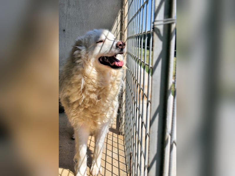 Haigen - SOS - Wenn das Foto zur Anklage wird.