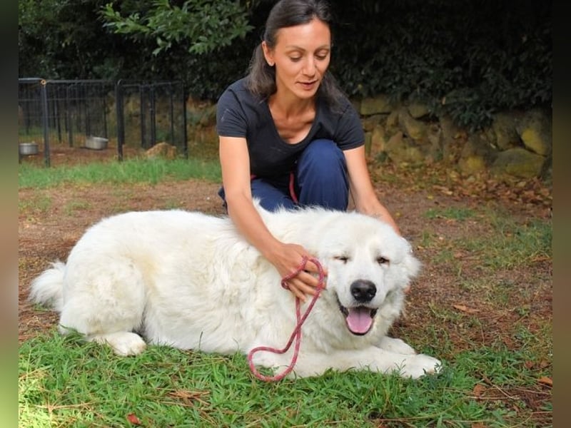 Ottis - Wow! Einfach nur wow!