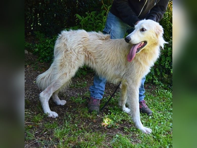 Isana - Wo ist mein neues Leben?