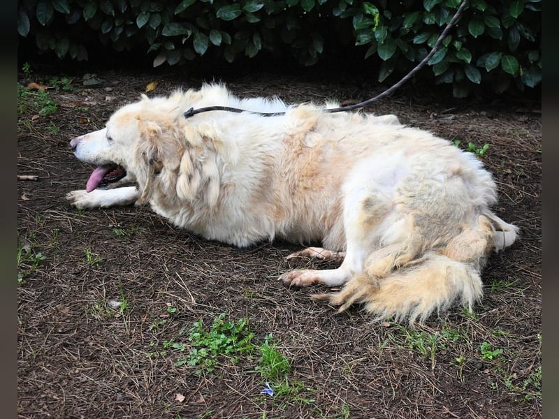 Eluard - Hoffnung auf echte Freundschaft!