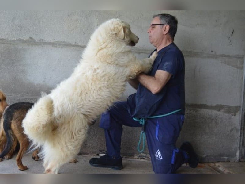 Quebry - Es ist, was es ist...