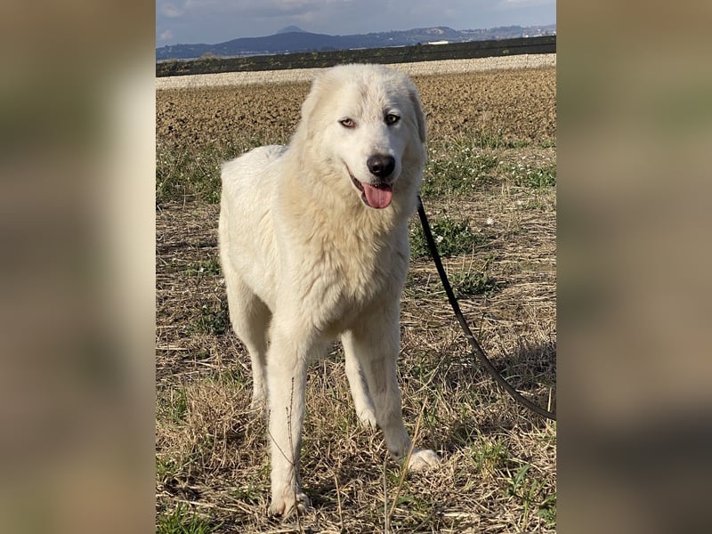 Madea - in ihrer ganzen Schönheit