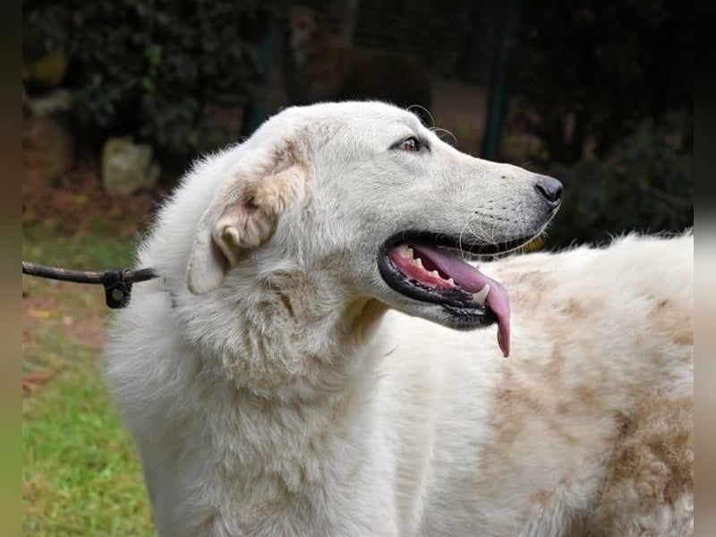 Dayton - niemals ist eine schrecklich lange Zeit
