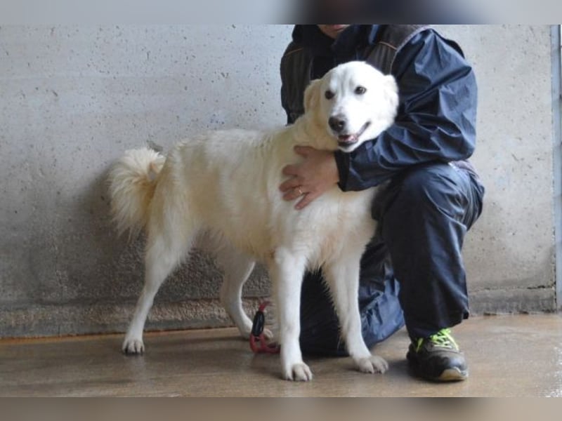 Meriwa - Doch nur wieder ein Kurzbesuch.....