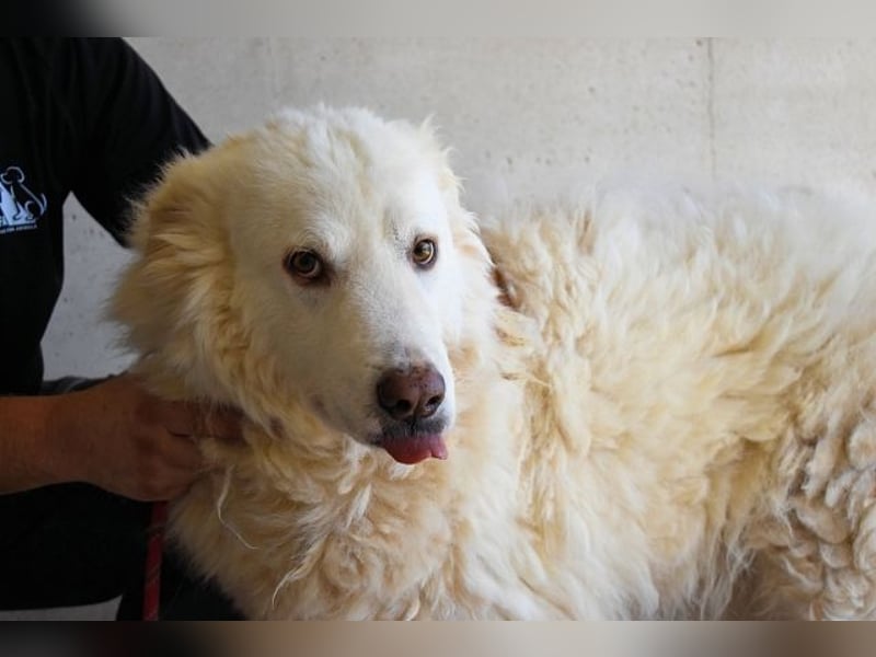 Haigen - SOS - Wenn das Foto zur Anklage wird.