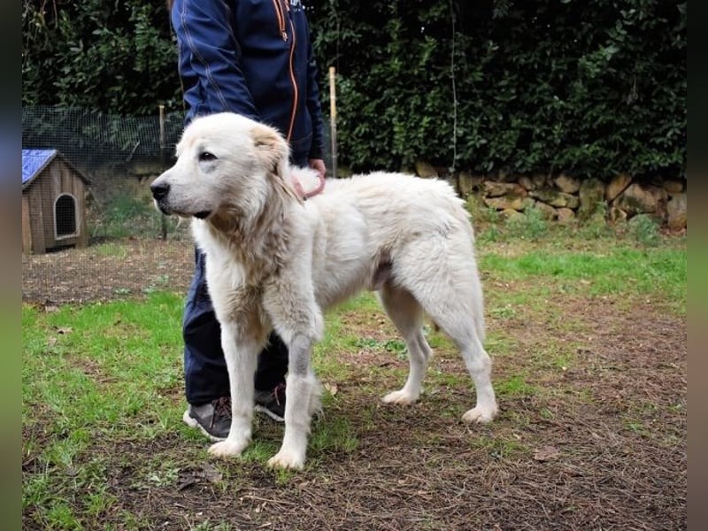Apolonio - möchte für seine Menschen ein Fels in der Brandung sein