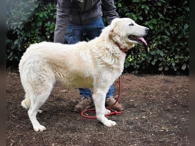 Dayton - niemals ist eine schrecklich lange Zeit