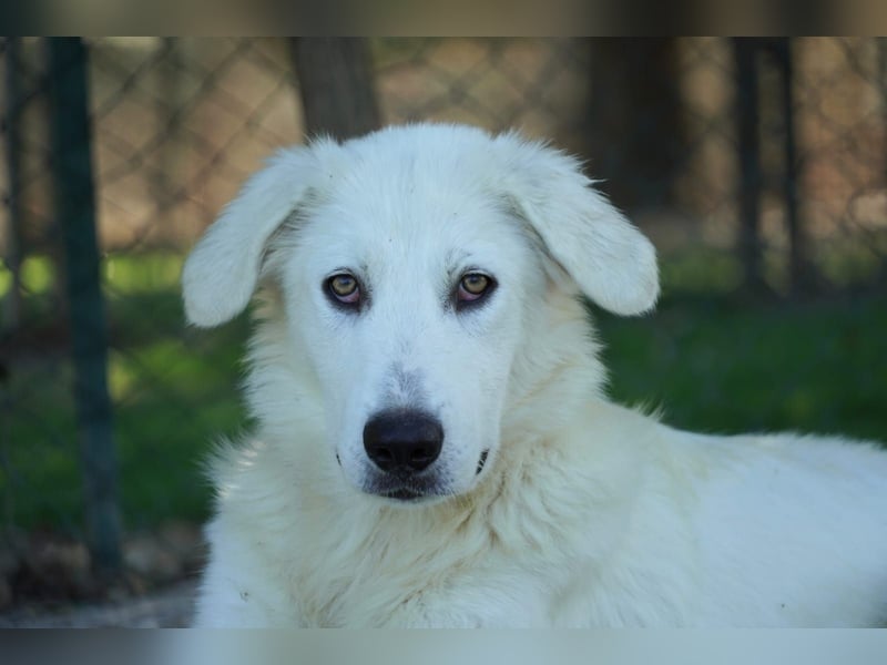 Madea - in ihrer ganzen Schönheit