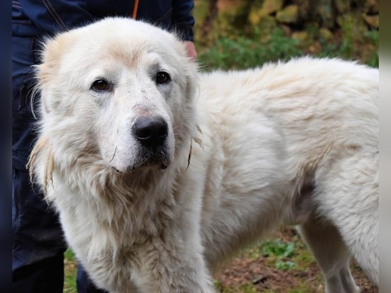Apolonio - möchte für seine Menschen ein Fels in der Brandung sein