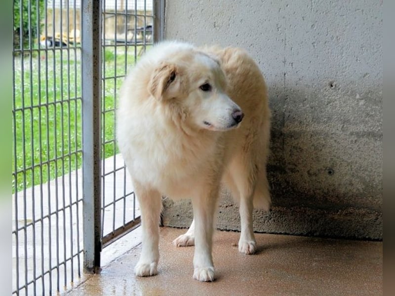 Olivielle- Junge Dame im Bärenmantel