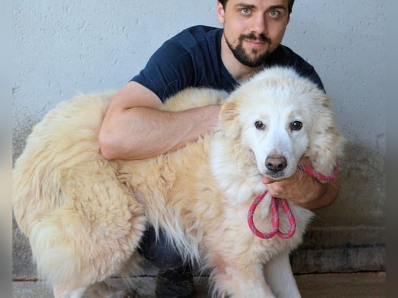 Olivielle- Junge Dame im Bärenmantel