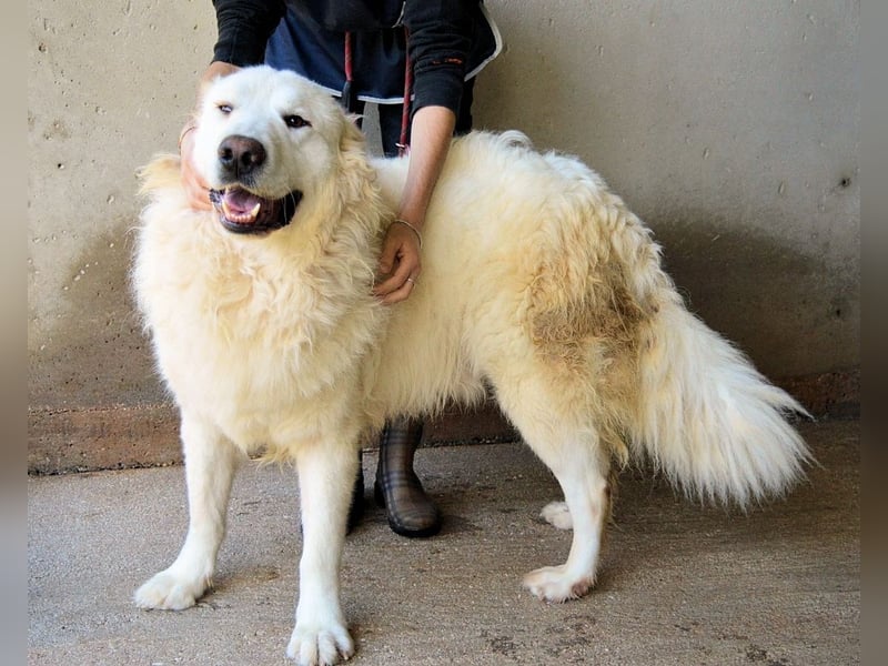 Leverett - Ich sehe was, was du (noch) nicht siehst!