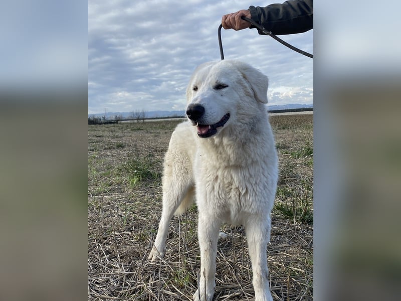 Mona - Ruhe, Würde und ein großes Herz