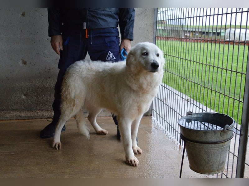 Rosvielle - Auf einer Skala von 1 bis 10....