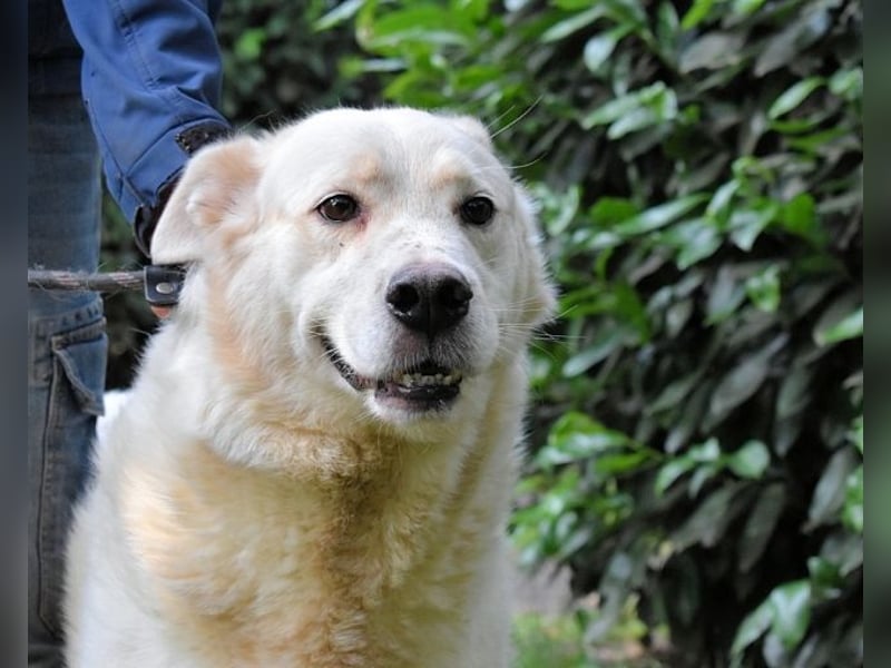 Zipper - Ein vergeudetes Leben