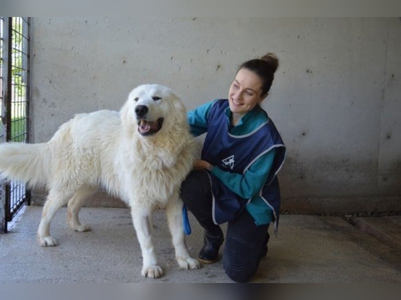 Leverett - Ich sehe was, was du (noch) nicht siehst!