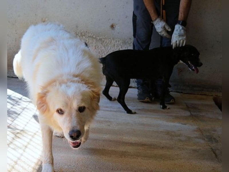 Skilah - Wenn Niemand zu Jemand wird