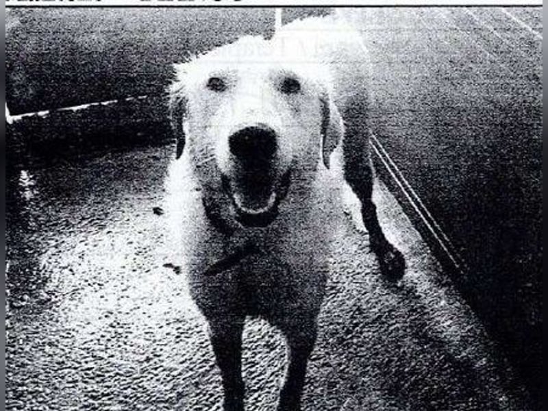 Makeen - es ist die Ohnmacht.....