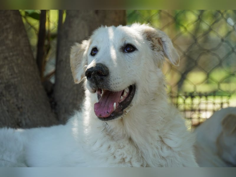 Tonia - eine sanfte Seele mit Flausen im Kopf