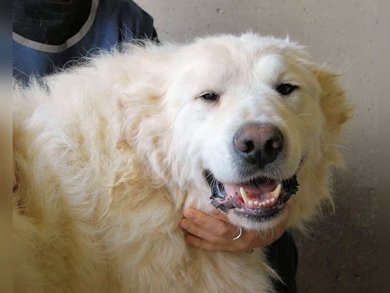 Leverett - Ich sehe was, was du (noch) nicht siehst!